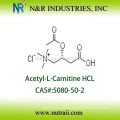 Acetil l carnitina HCL CAS # 5080-50-2